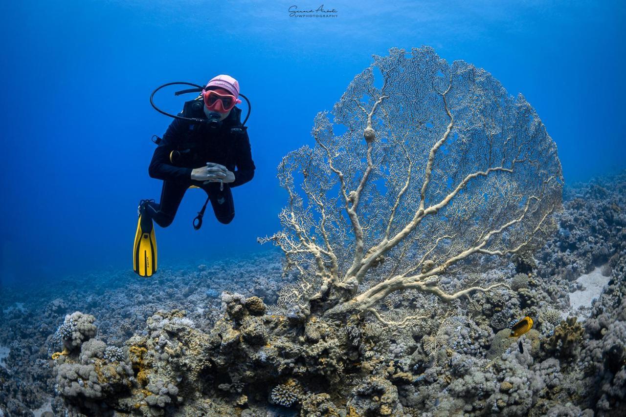 Bait Alaqaba Dive Center & Resort Zewnętrze zdjęcie